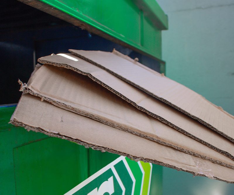 CWS recycling dumpster with a stack of cardboard being put in